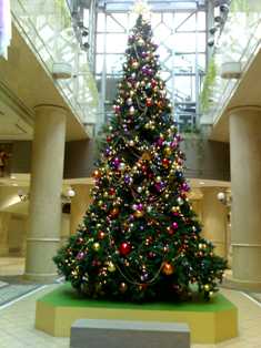 16-12-09_09511.jpg