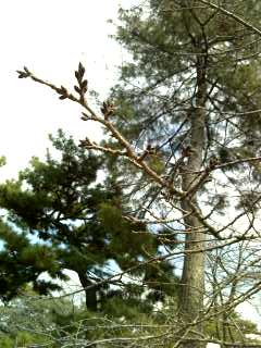 20-02-10_1322.jpg