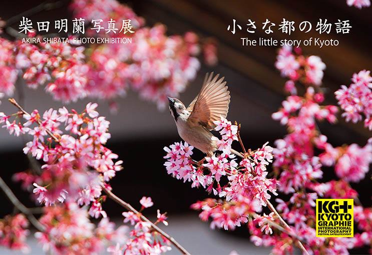 柴田明蘭写真展「小さな都の物語～The little story of Kyoto」