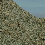 P1000726