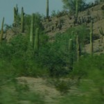 P1000743