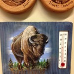 bison1