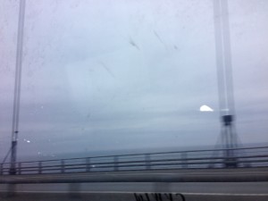 IMG_0296