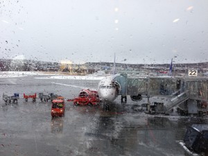 IMG_0391