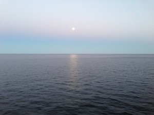 IMG_0425