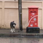 2Inu1