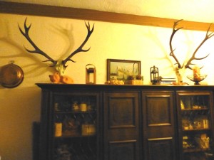 4DeerHotel