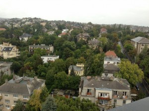 IMG_1929