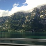 IMG_1981