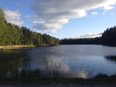 20140528-015425.jpg
