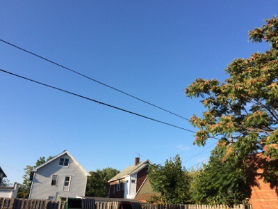 20140914-205441.jpg