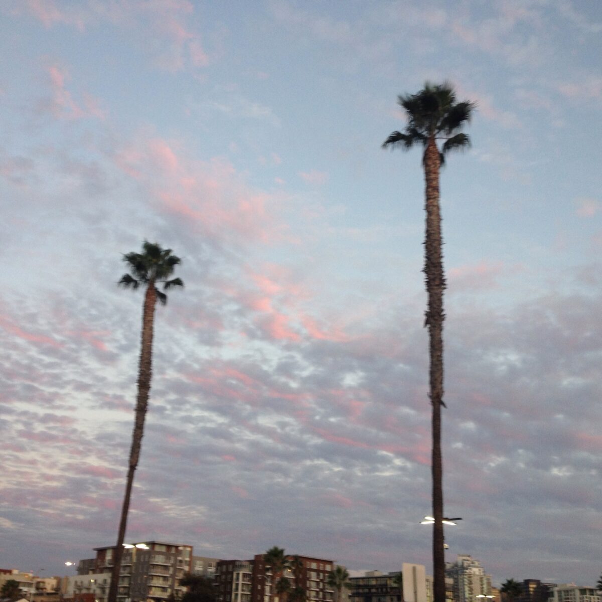 IMG_6006.JPG