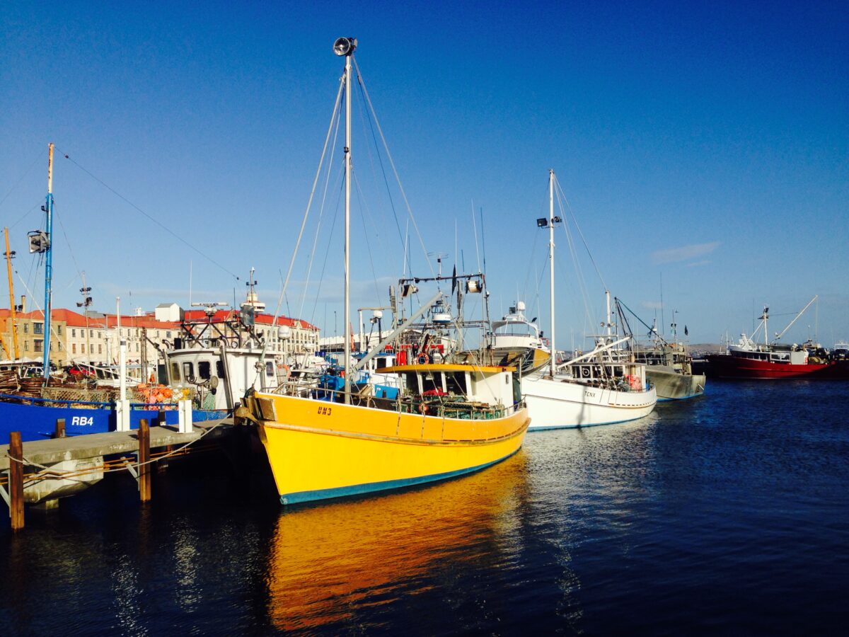 1/17 Hobart, Tasmania Shonen Knife's Blog