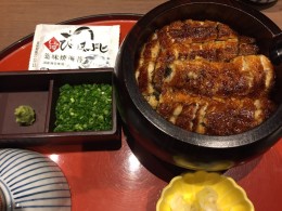 1Unagi